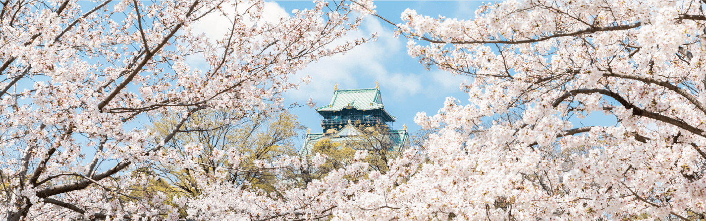 桜に包まれた大阪城
